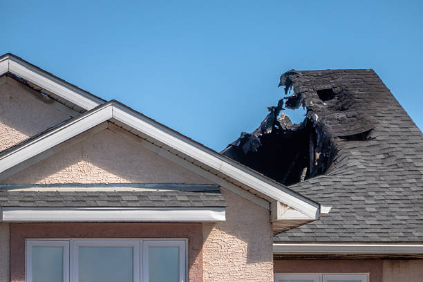 Top rated local Fire Damage Removal specialists in Pasadena, TX